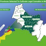 maroc cannabis